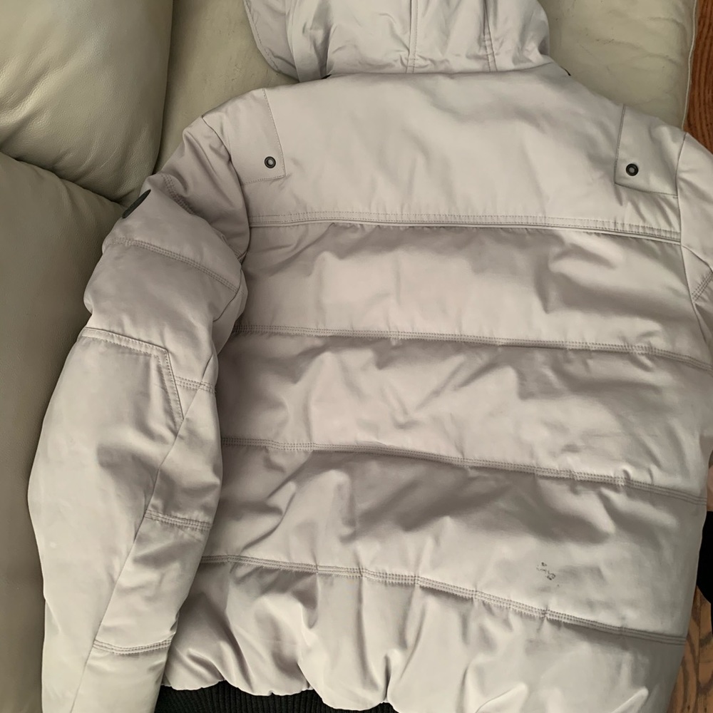 Guess Jacket! - Picture 2 of 2